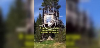 Вращающийся домик на дереве посреди леса
