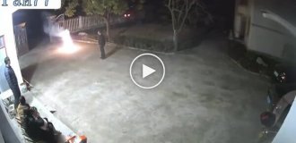 Собака неприятно удивила жителей китайского города