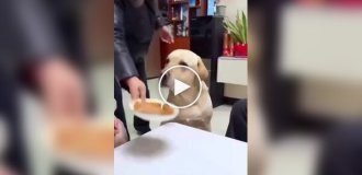В большой семье: кто быстрее съест кусочек
