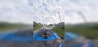 Сварка на дорозі у Флориді закінчилася погрозами зі зброєю