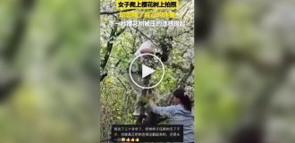 Женщина уронила дерево в шанхайском парке