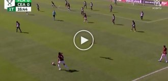 A parrot tried to attack a soccer player