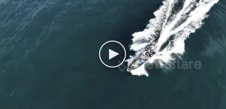 Рыбаки врезались в кита