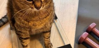 Трагедія у трьох актах (3 фото)