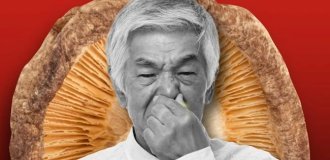 Эксперт назвал продукт, избавляющий от старческого запаха (5 фото)