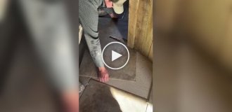 Идеальная стыковка: Как ровно уложить доски