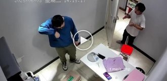 Страшнее кошки звери нет
