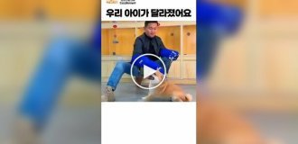 Тренер показал, как агрессивную собаку удалось скорректировать