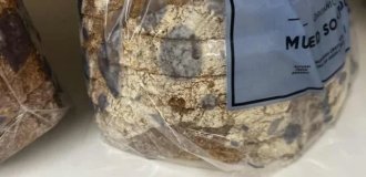 Подборка смешного и провального дизайна (13 фото)