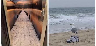 20 примеров, демонстрирующих, как виртуозно перспектива играет с разумом (21 фото)