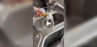 Почему современное американское мороженое почти не тает