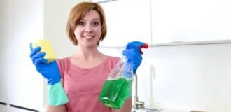 10 способов как использовать средство для мытья посуды не по назначению (11 фото)