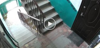 Когда не покормил кота