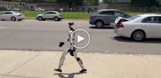 В Детройте засняли потерявшегося робота