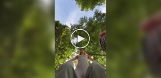 Удачный ракурс