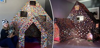 Женщина построила из Lego двухметровый дом для своих питомцев (6 фото + 1 видео)
