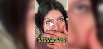 Фермер исполнил странное желание незнакомки