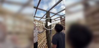 Friends made a childhood dream come true