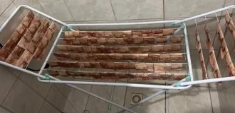 Бразильські поліцейські показали, як виглядають по-справжньому відмиті гроші (3 фото)