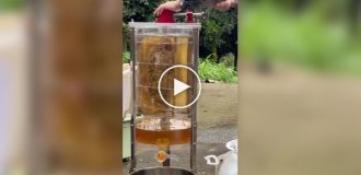 How a honey extractor works: extracting honey using centrifugal force