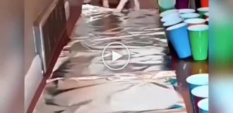 Коти та фольга – дивне, але часто кумедне поєднання