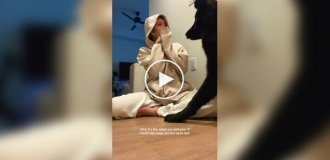 9-месячный щенок удивил всех своими гигантскими размерами