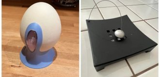 10 Mysterious Objects Whose Purposes the Whole World Had to Figure Out (17 photos)