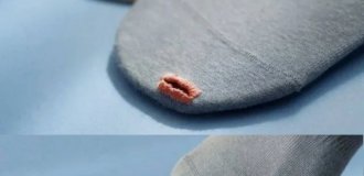 Лучшие шутки и мемы из Сети. Выпуск 690 (113 картинок)