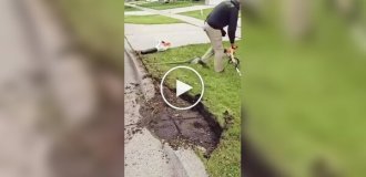 Профессиональная уборка