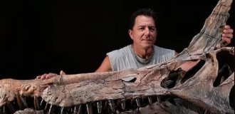 В пустыне Сахара обнаружили прародителя дракона возрастом около 95 миллионов лет (2 фото)