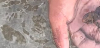 A British man miraculously survived after filming on the beach (4 photos + 1 video)