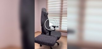 The best computer chair for cats