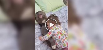 This compilation of videos of dogs guarding children's sleep will melt any heart