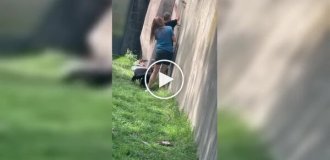 13-летний мальчик перелез в вольер зоопарка и устроил погоню за птицами