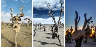 Каменный сад Дарвиш Хана и его история создания (16 фото + 1 видео)