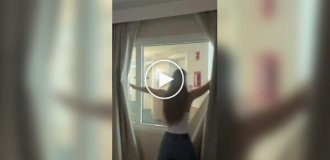 Отель обещал номер с видом, но не уточнил, на что именно