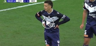 Стая птиц приземлилась на стадион во время футбольного матча