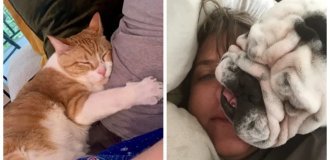 20+ вихованців, які не можуть існувати без своєї людини (21 фото)