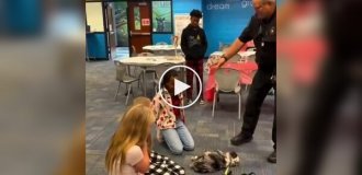 В США песик «оживает» только после идеального массажа сердца