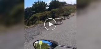 Когда проходишь миссию в игре по стелсу