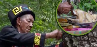 Дерево-обжора: почему в Китае деревья «едят» свинину и пьют вино (5 фото)