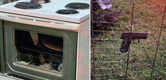 American forgot that he left a gun in the oven (3 photos)