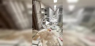 Грабители захватили 25 заложников в банке Неаполя и скрылись через канализационный туннель