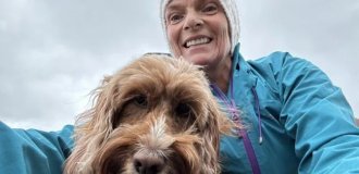 Played dead: a herd of cows attacked a woman in Scotland (4 photos)