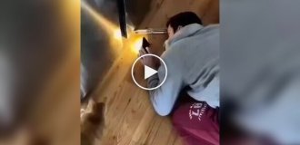 Коли хтось каже, що котики марні