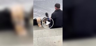 Сидим с бобром за столом, вдвоем