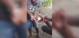 Неудачное знакомство с пауком