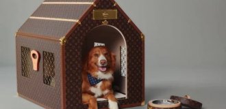 You Won't Believe How Much a Louis Vuitton Dog House Costs (3 photos)