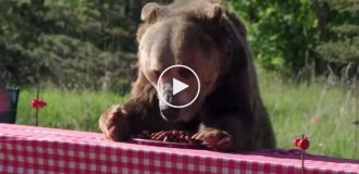 Speed ​​​​sausage eating championship with a bear