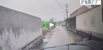 Владелец с лопатой, гонясь за псом, чудом не угодил под машину